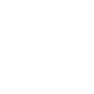 Nave a vela